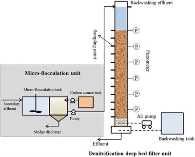 Nitrogen Advanced Treatment of Urban Sewage by Denitrification Deep-Bed Filter: Removal Performance and Metabolic Pathway